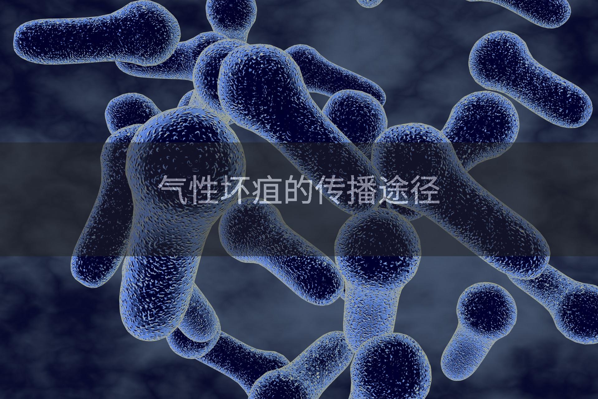 气性坏疽的传播途径