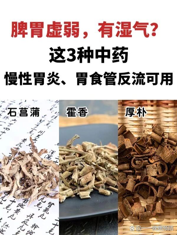 慢性胃炎,胃食管反流了解下这3味药!