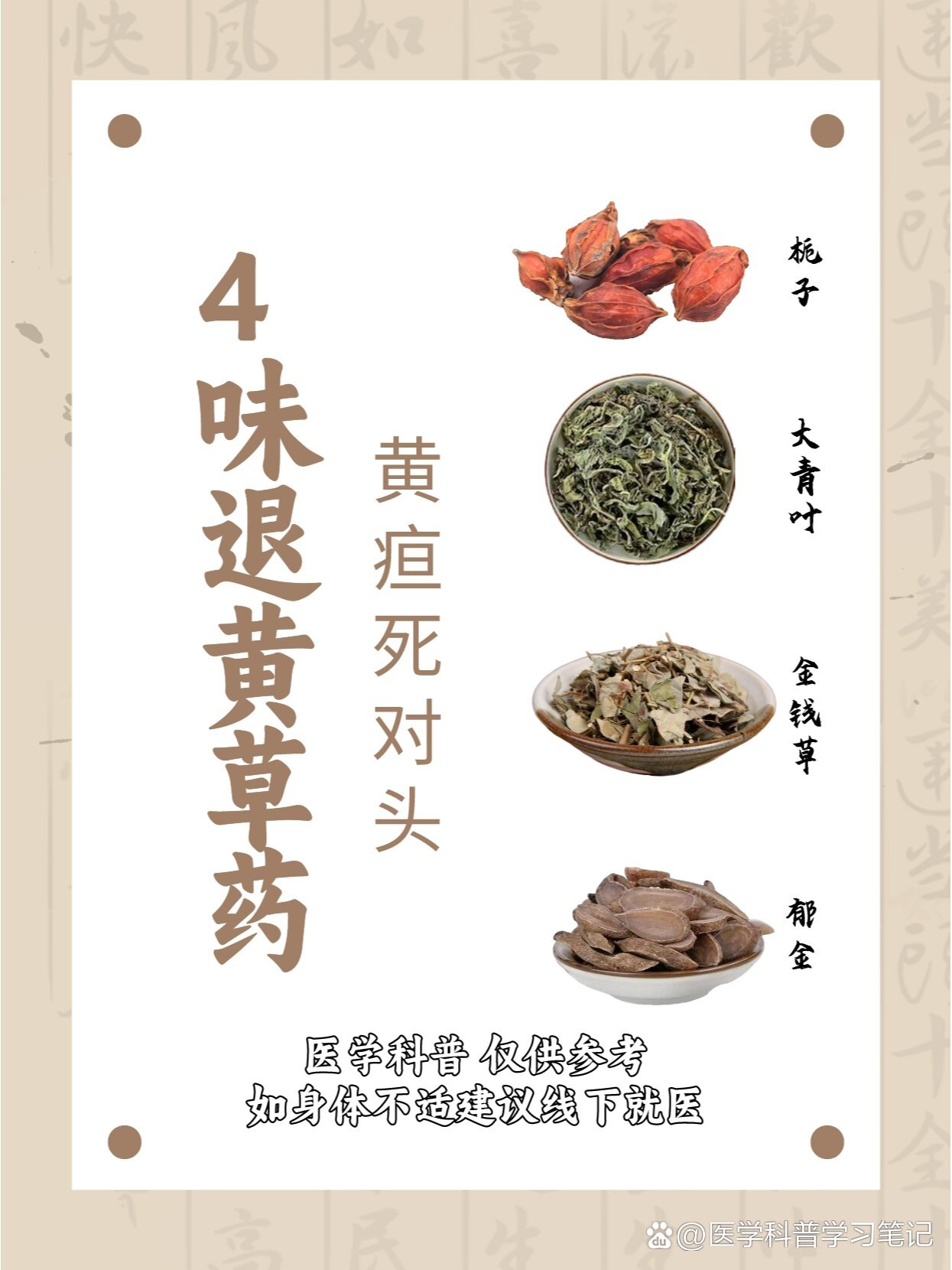 4味退黄中草药,黄疸死对头