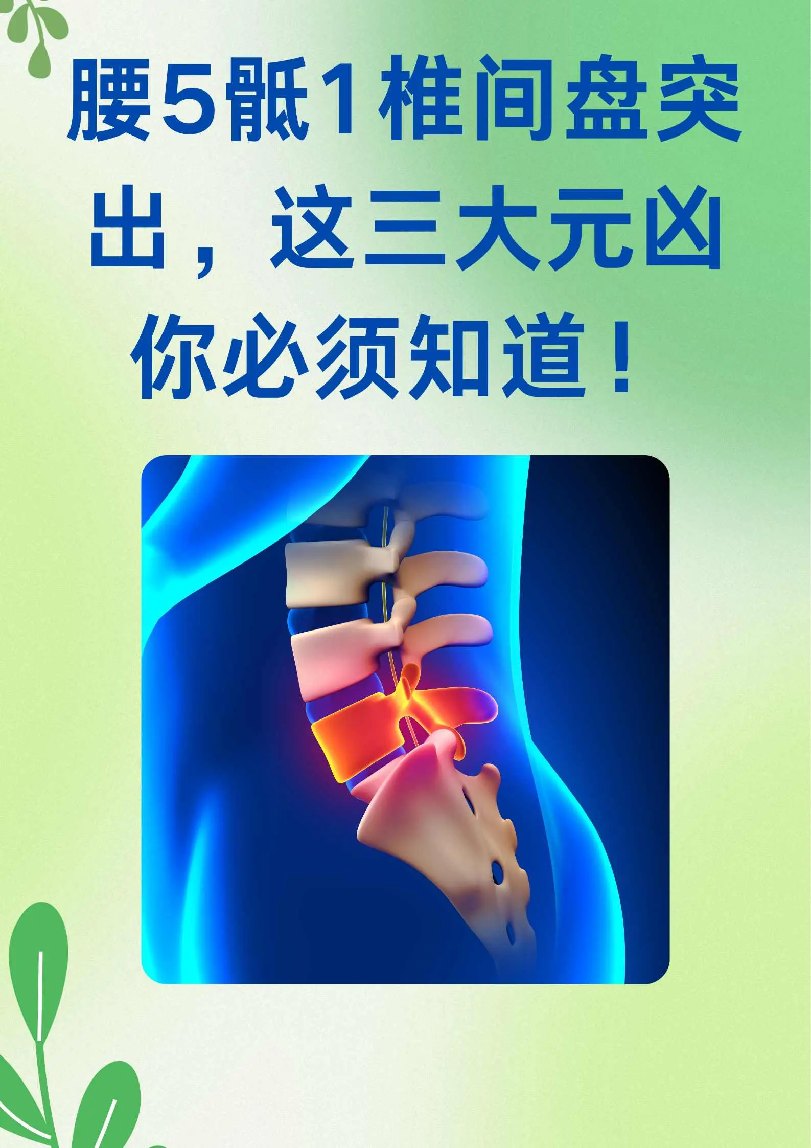 腰5骶1正常图像图片