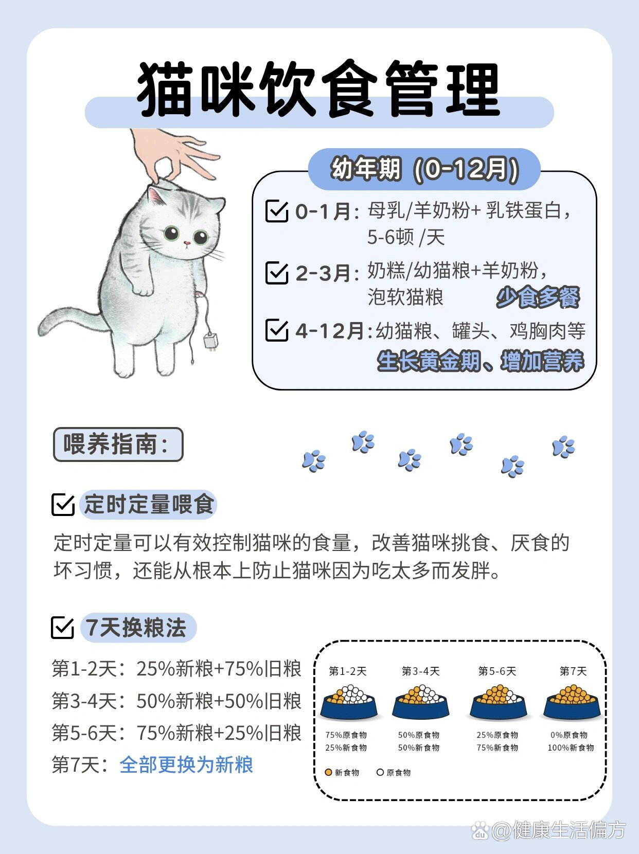 97超全银渐层喂养手册|新手养猫必看6015
