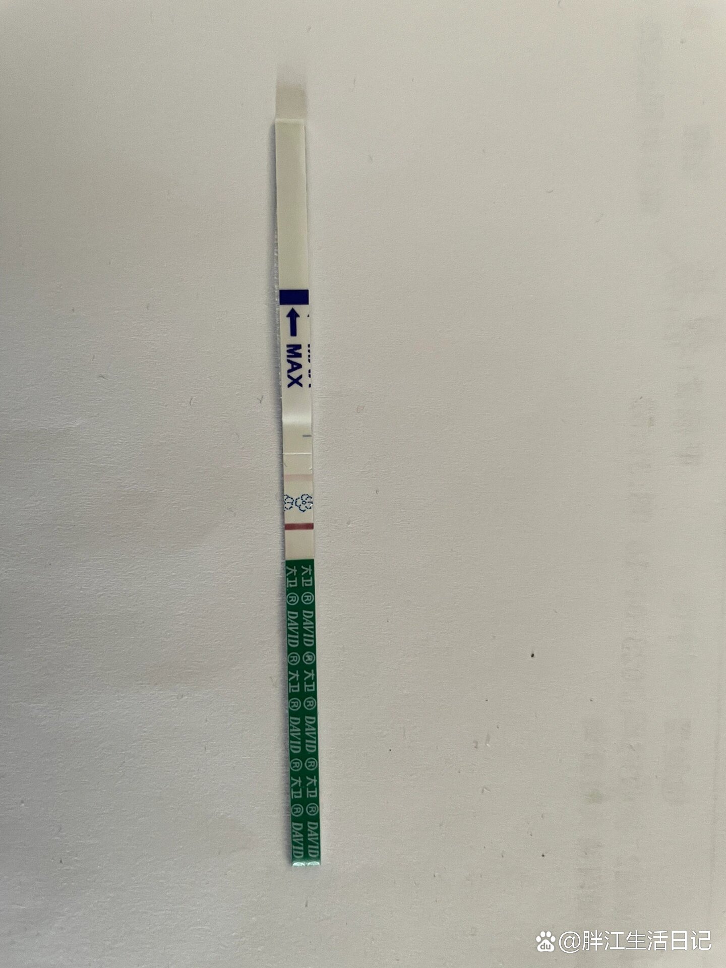 囊胚移植第8天(不含移植日)大卫终于变色了