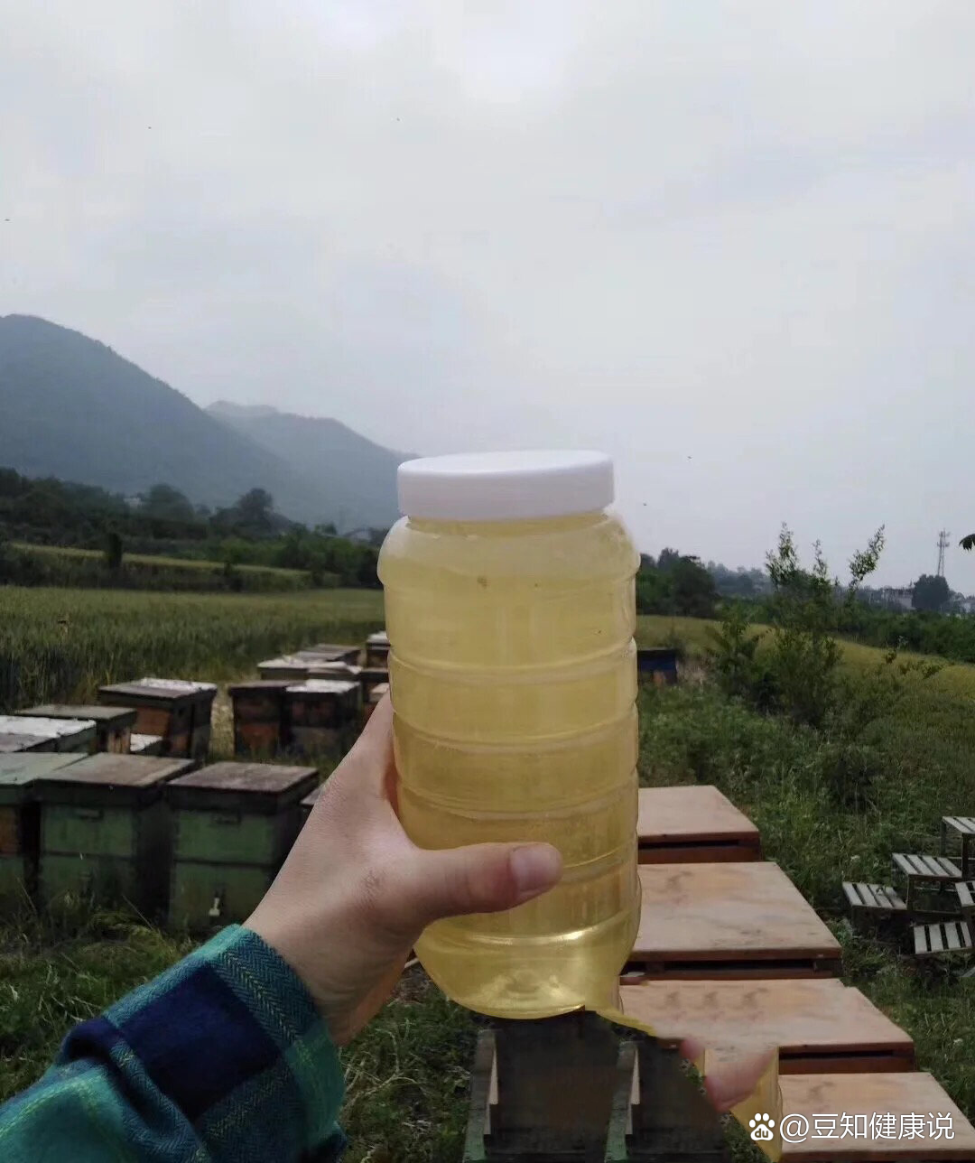 感冒吃蜂蜜有没有效果(感冒吃蜂蜜水有效果吗)