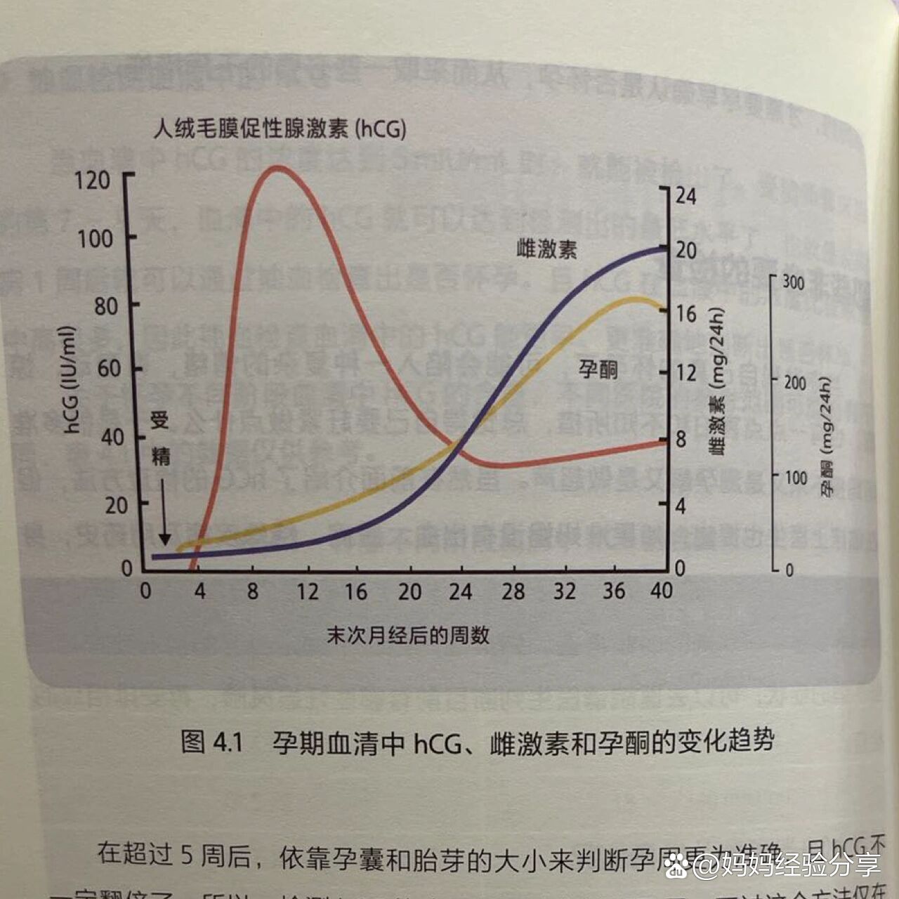 孕早期分享:hcg翻倍!