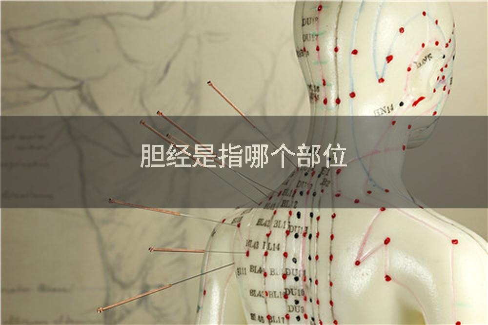 胆经是指哪个部位