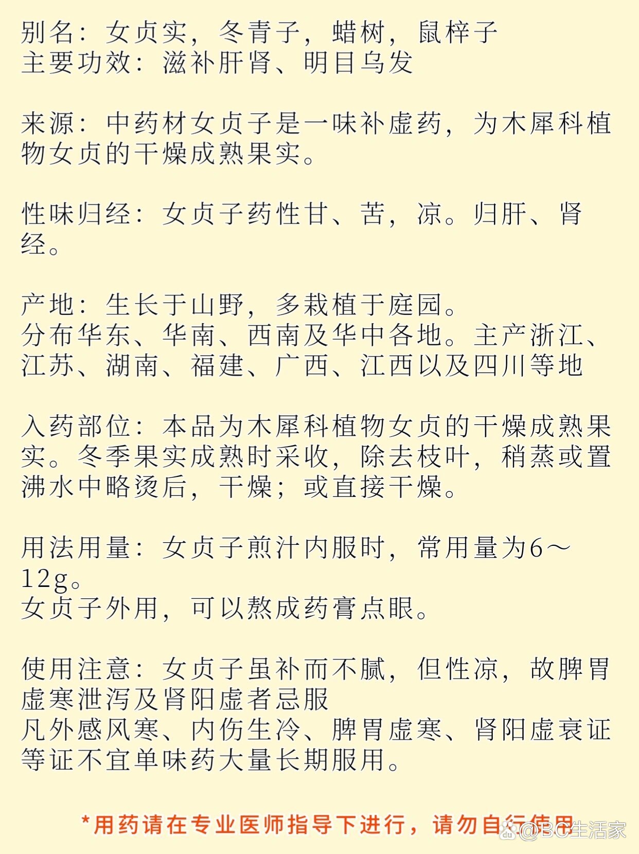 p每日认识一味药?女贞子br?别名女贞实冬青子蜡树鼠梓