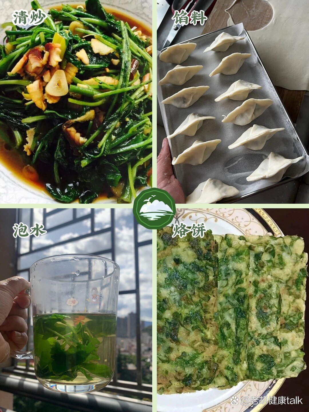 018|黄鹌菜又称还阳草,嫩芽,茎,花蕾可食用