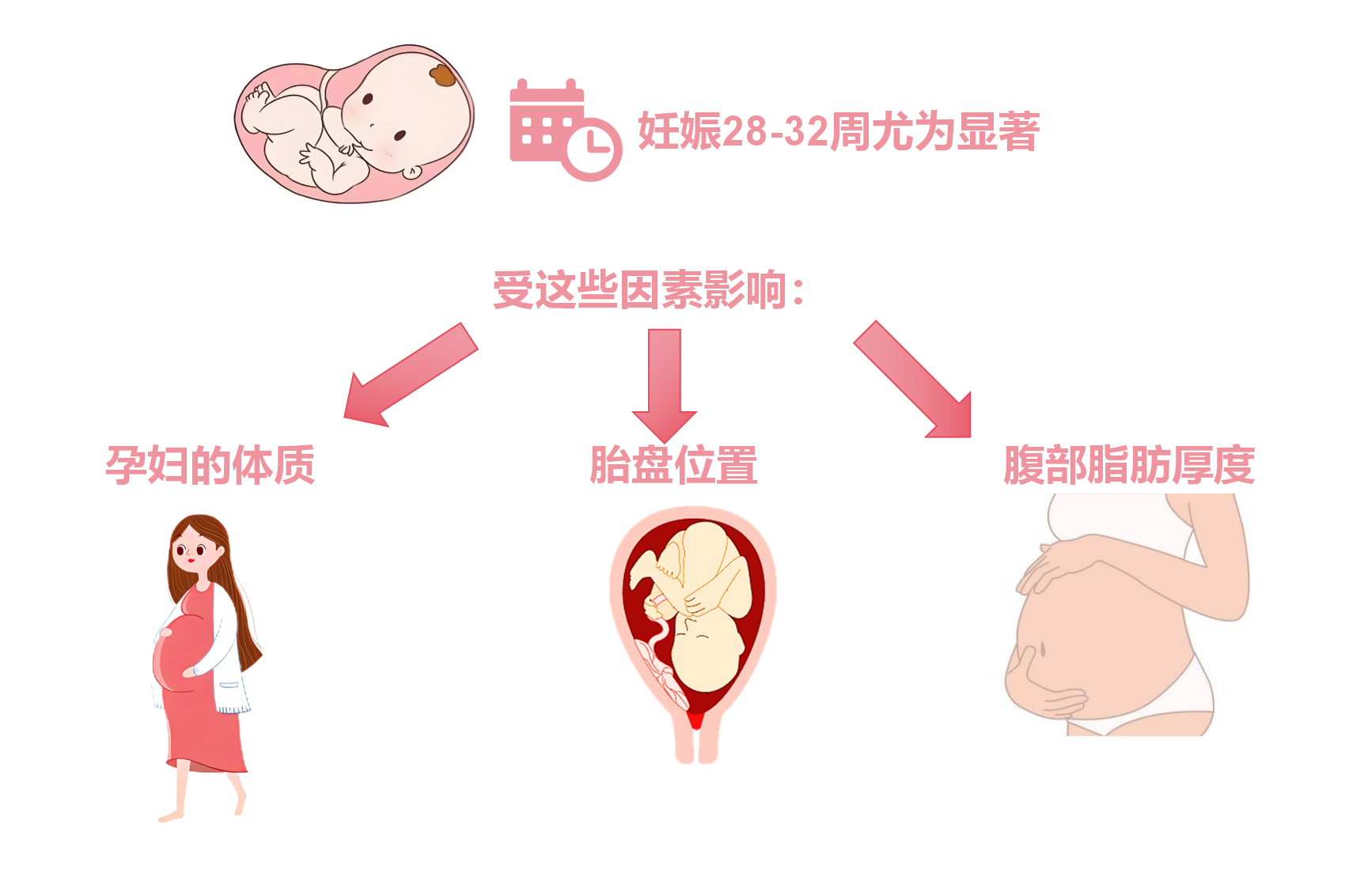 宝宝多久胎动特明显