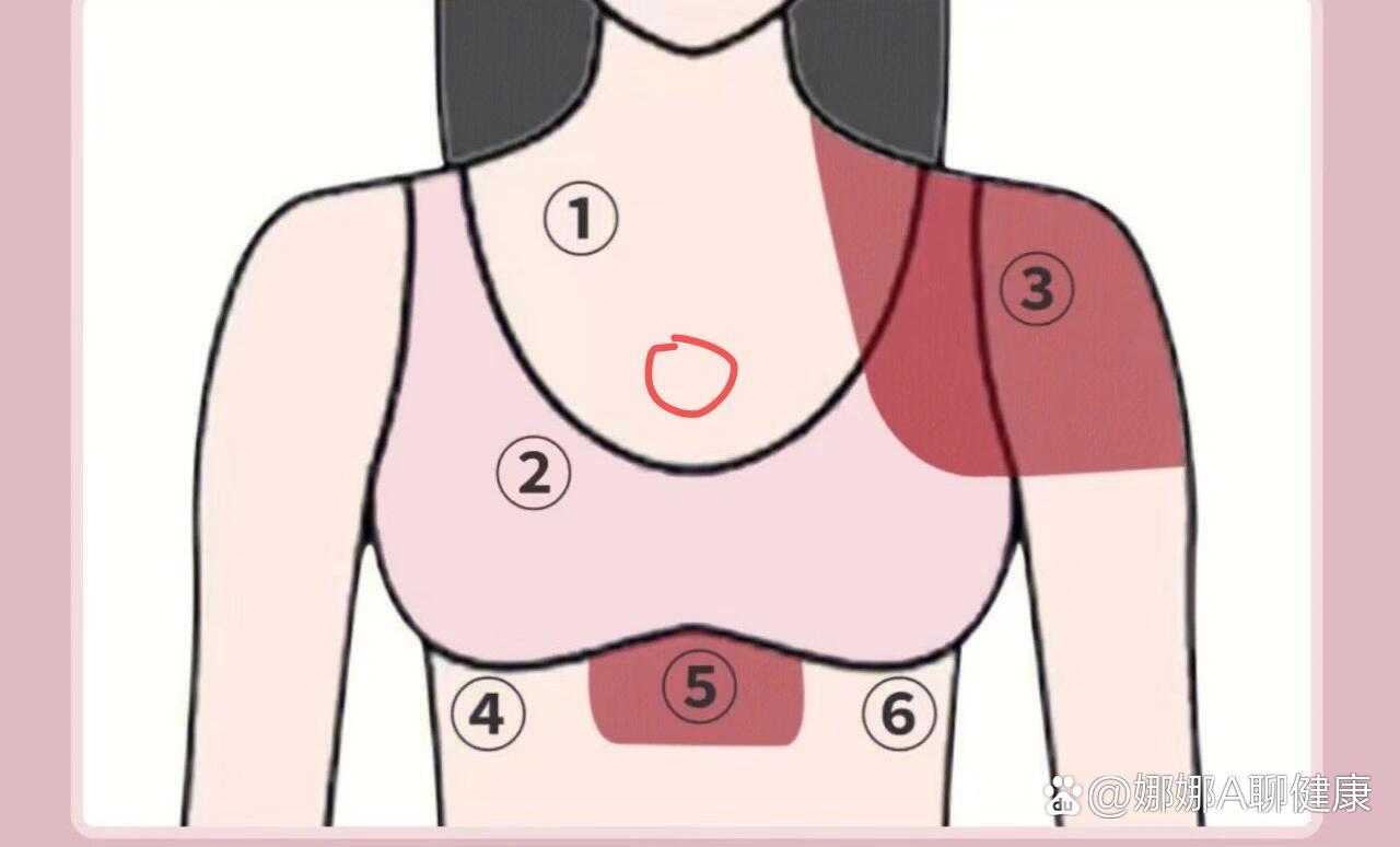 脖子下面胸口上面疼图片