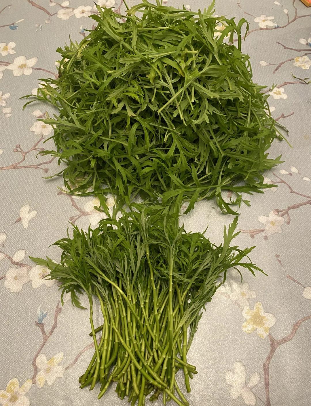 泥蒿（芦蒿、藜蒿）的美味秘诀！
