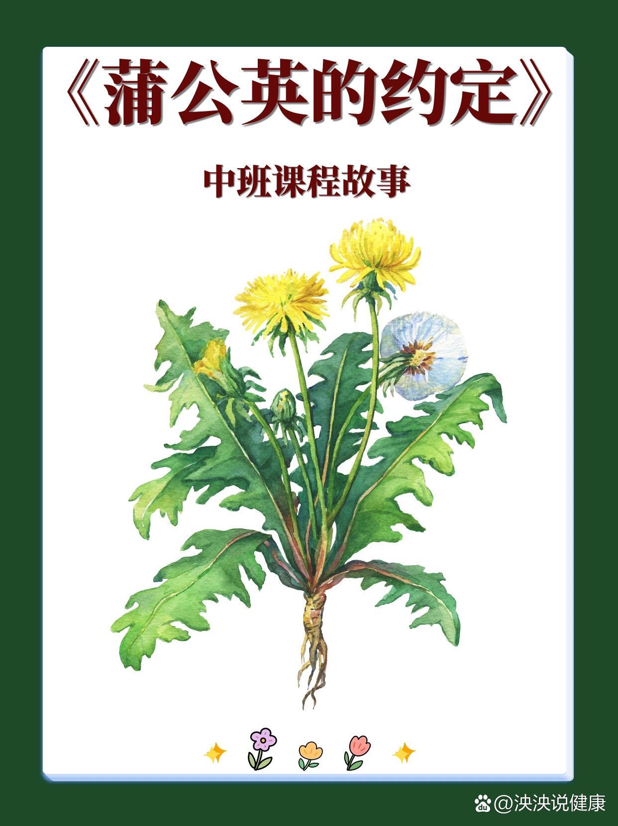 中班课程故事《蒲公英的约定》ppt