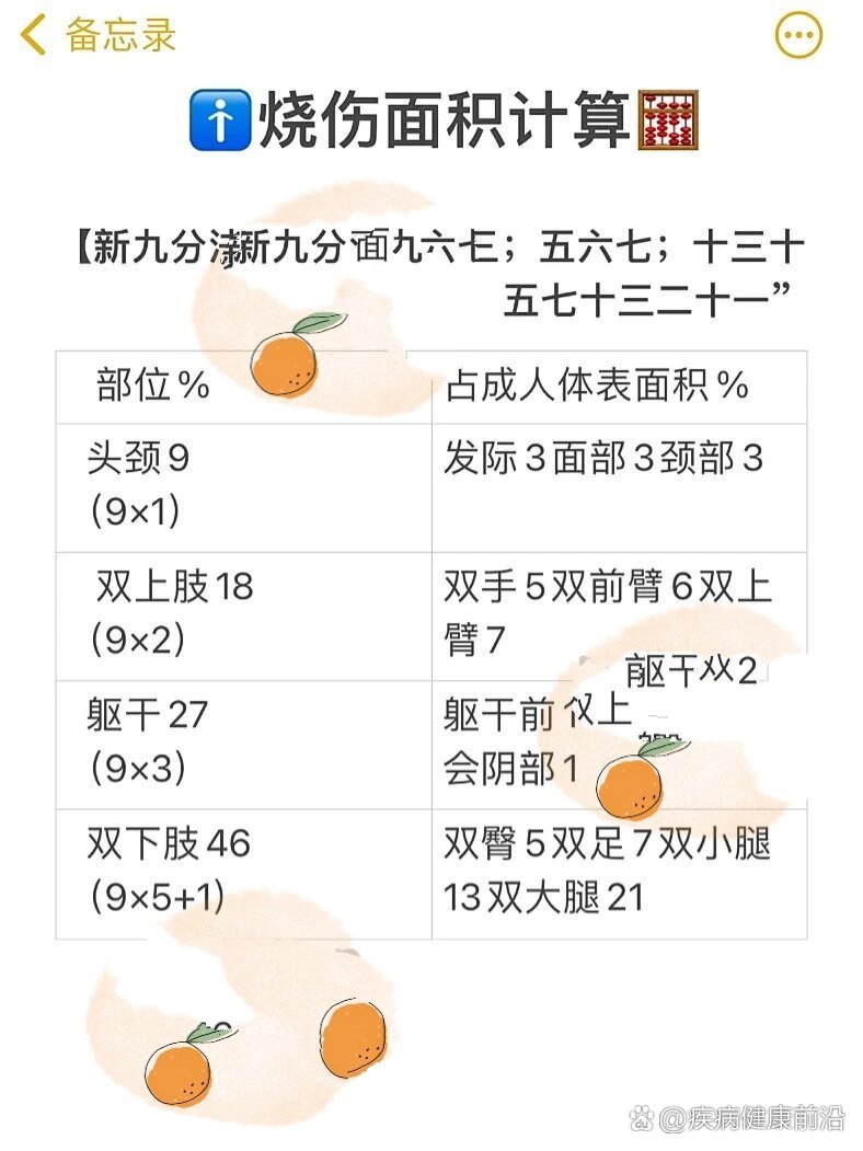 烧伤新九分法图片