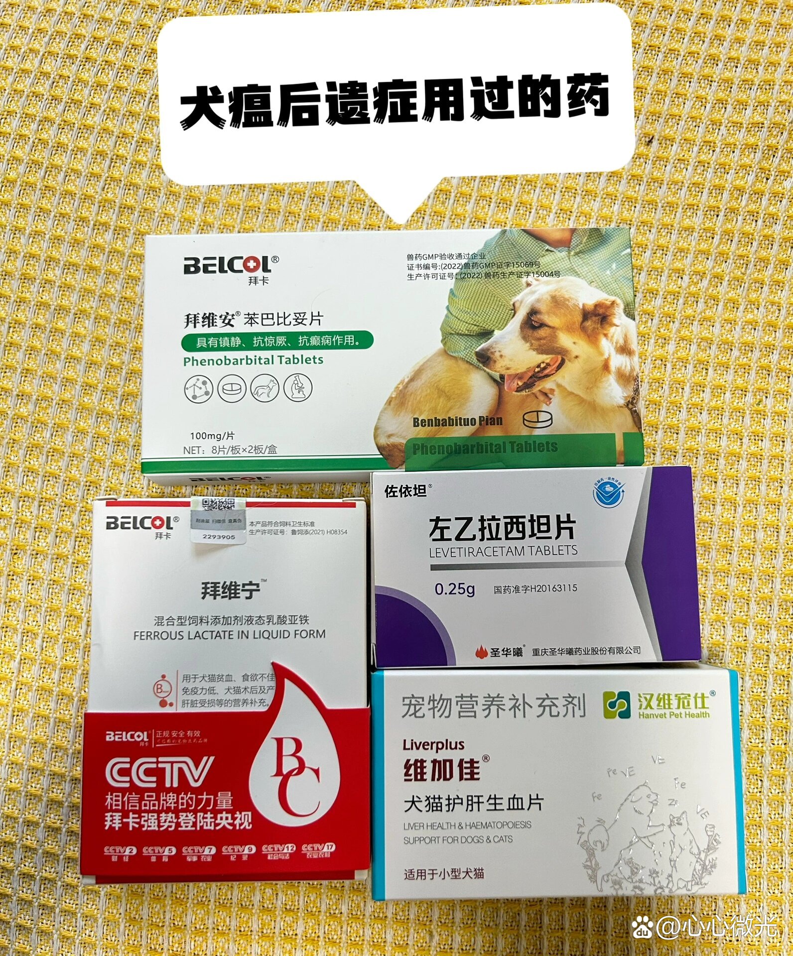 自己在家治疗犬瘟的药