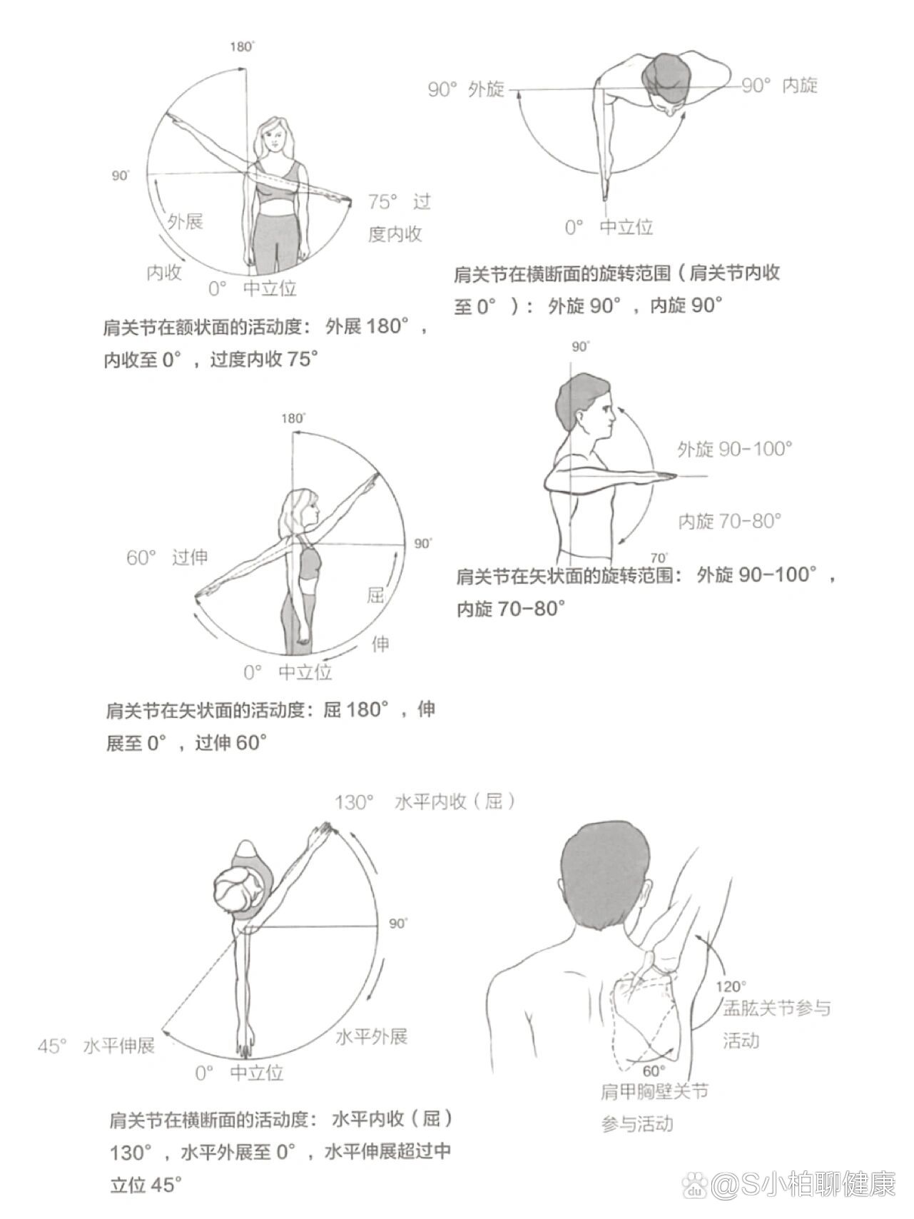 ren体各关节的活动范围