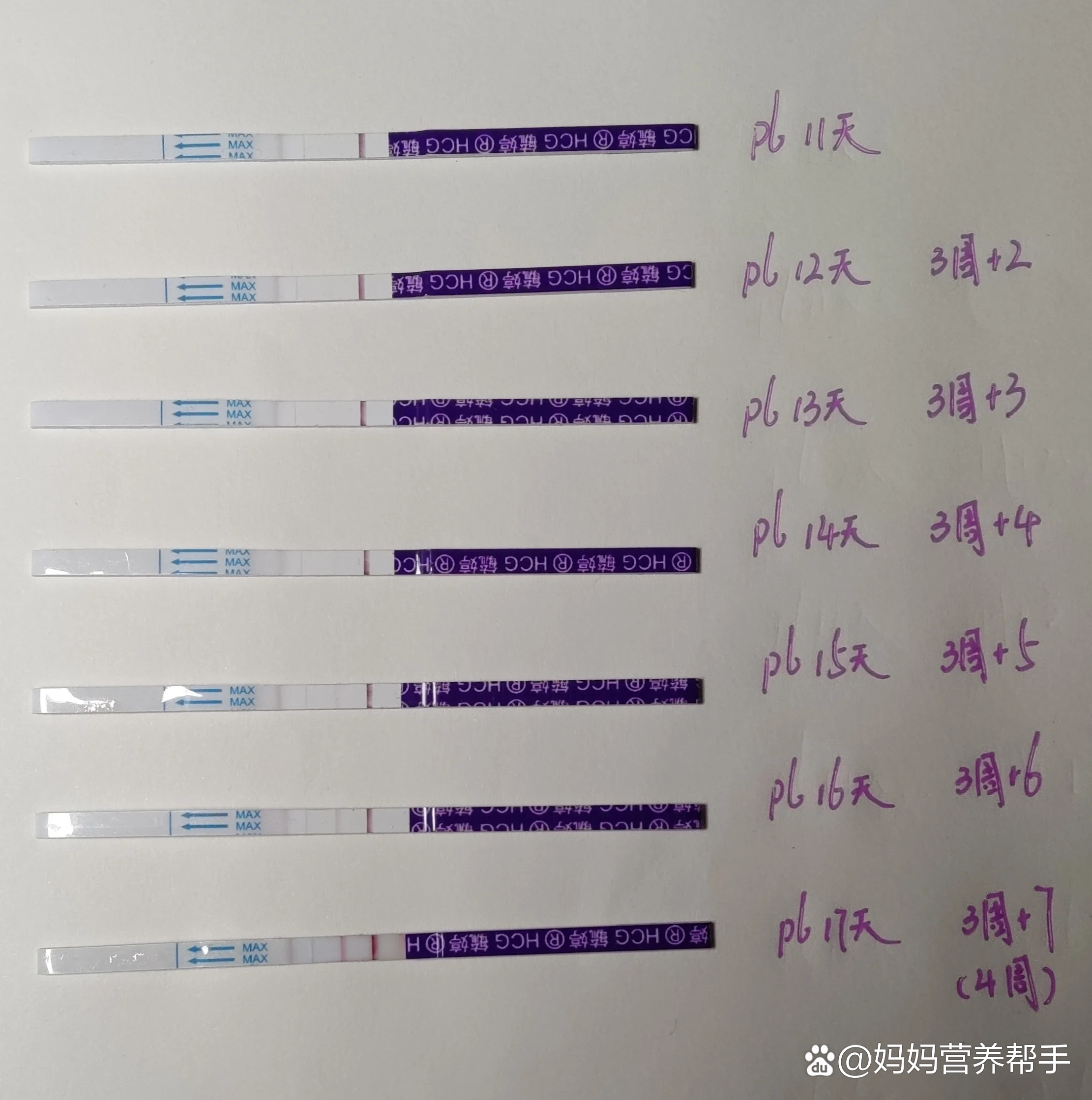排卵9天后开始测各种hcg试纸