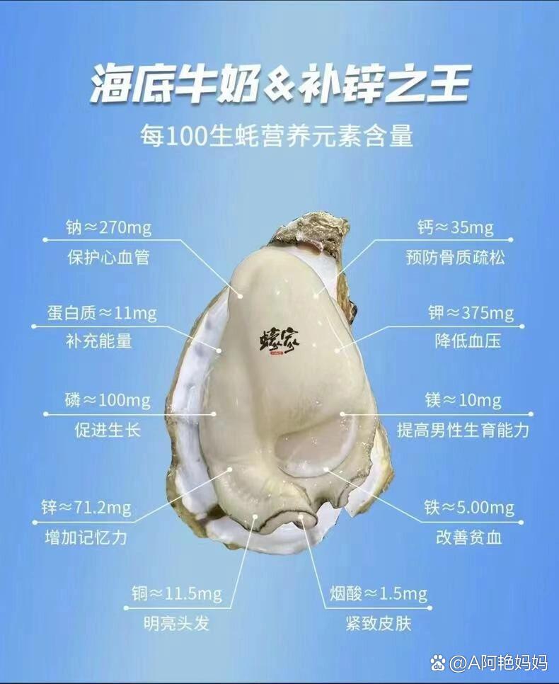 牡蛎片的功效与作用图片