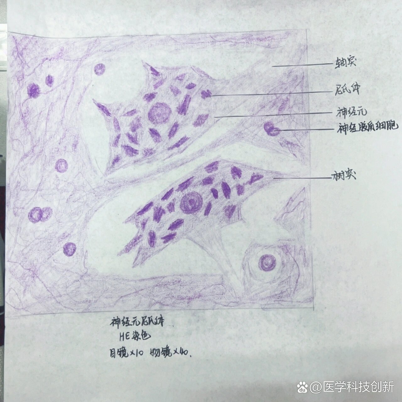 尼氏体红蓝铅笔手绘图图片