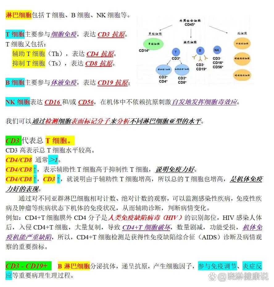 亚群 个人资料图片