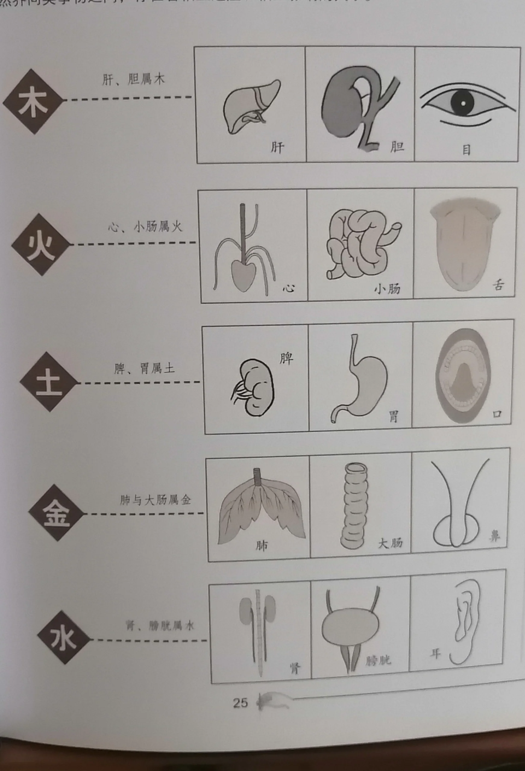 五脏与五官对应关系