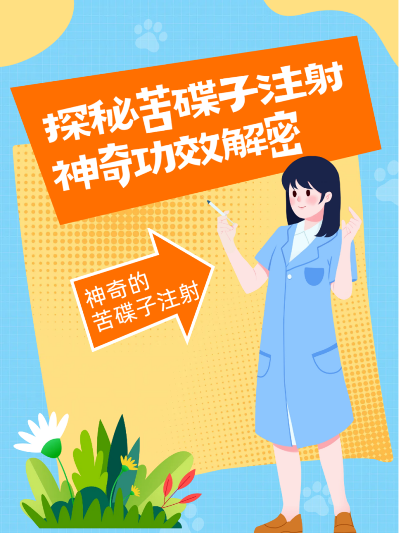 探秘苦碟子注射:神奇功效解密