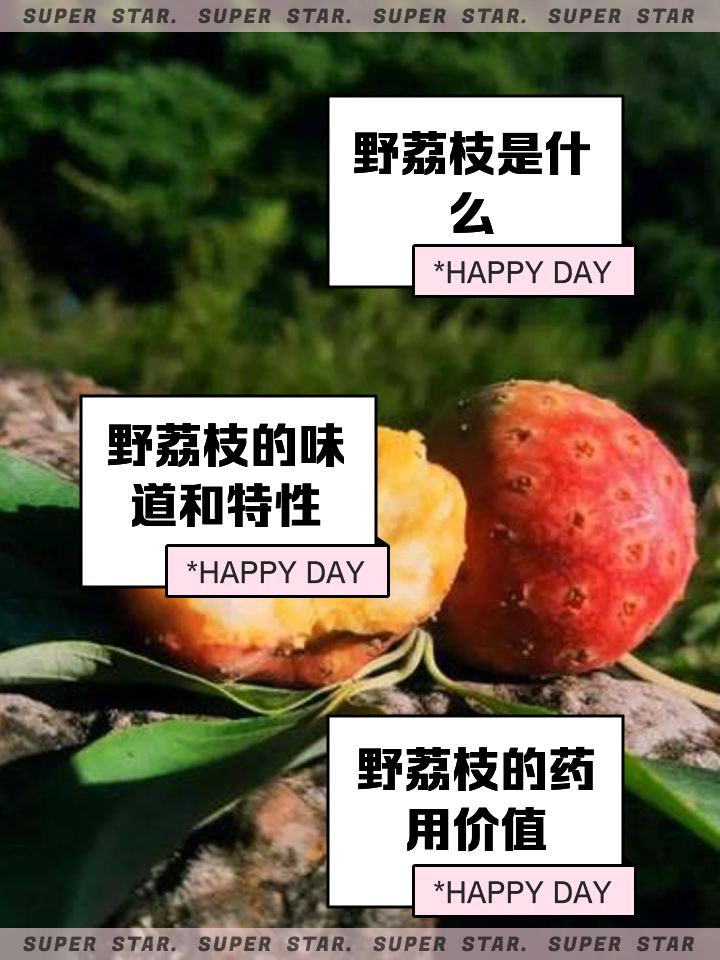 野荔枝