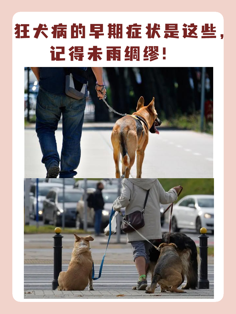 狂犬病的早期症状图片