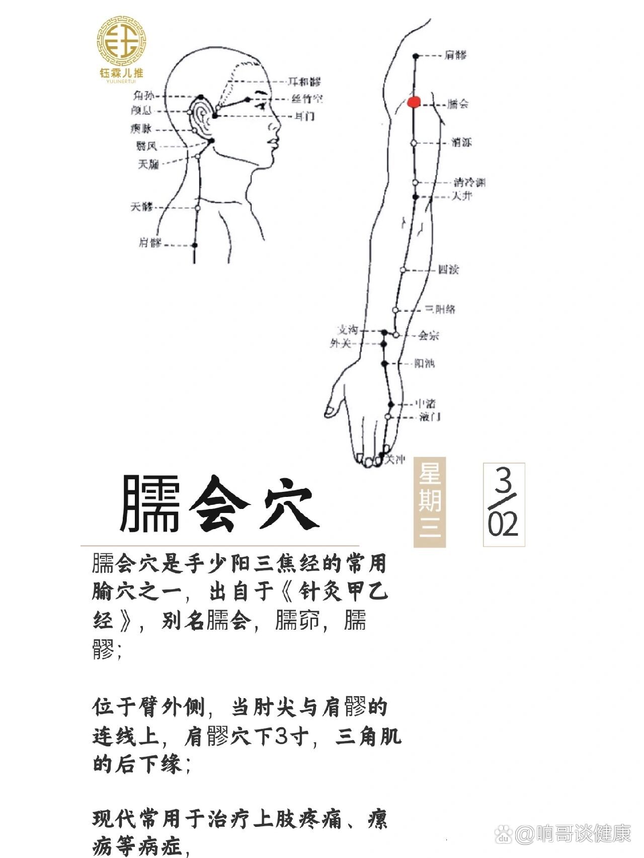 手臂弯寸关图片图片