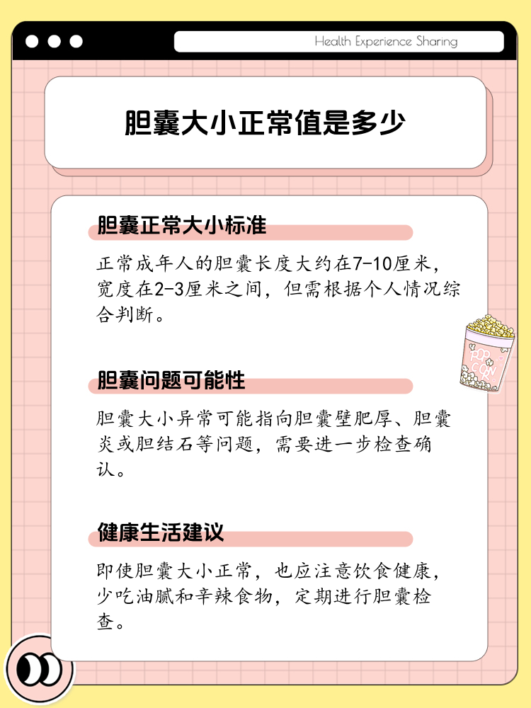 揭秘:胆囊大小正常值到底多少?