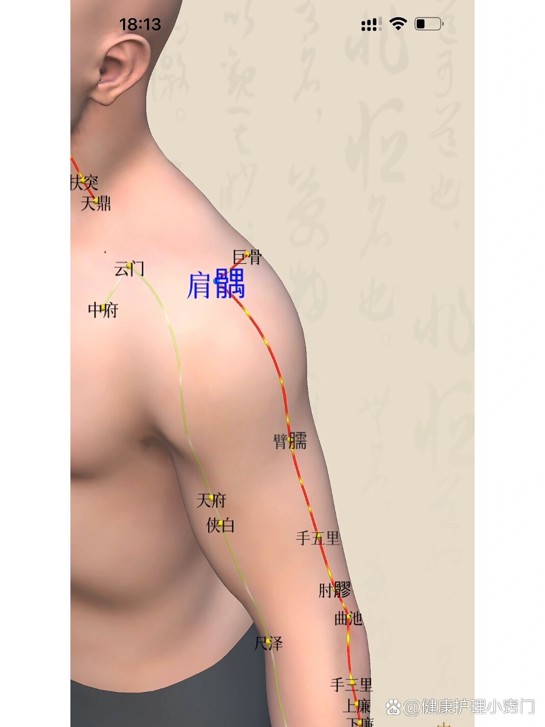 肩髃定位的准确位置图片