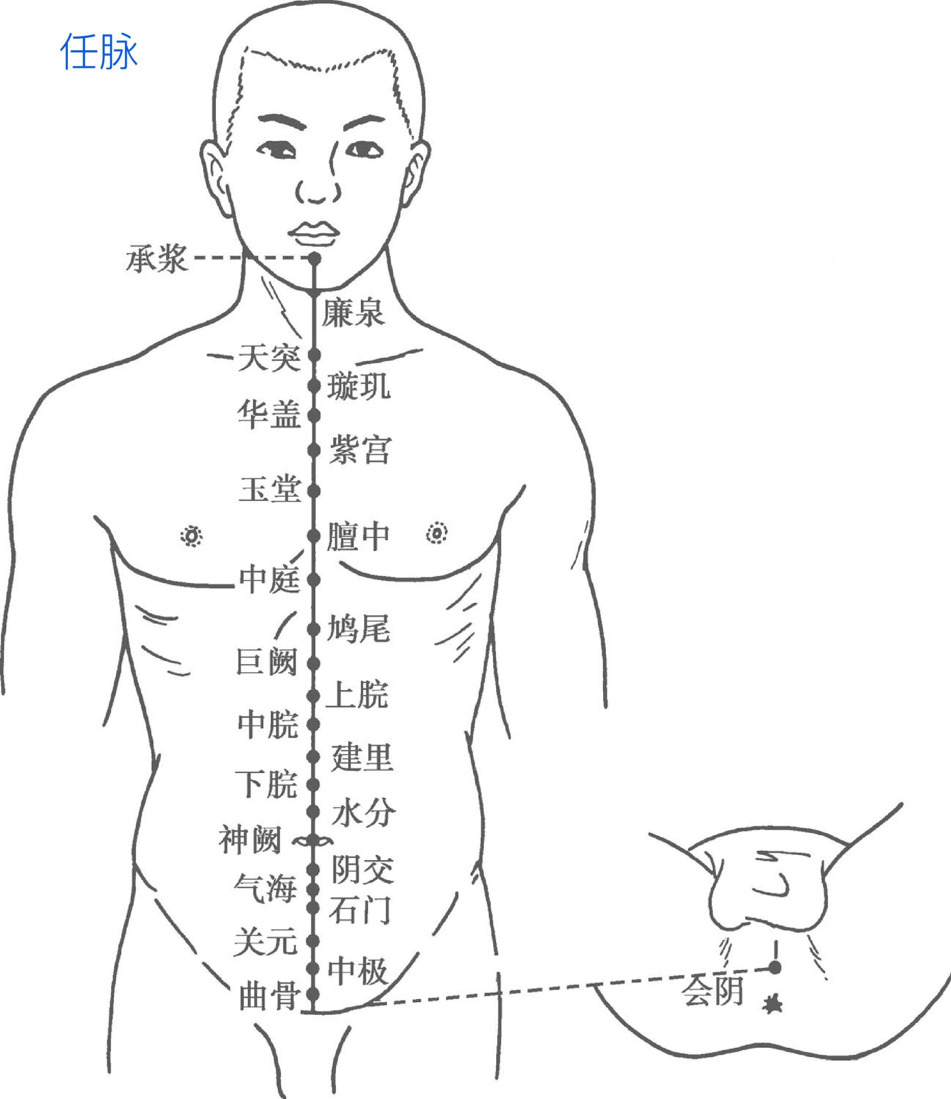 上腕的准确位置图图片