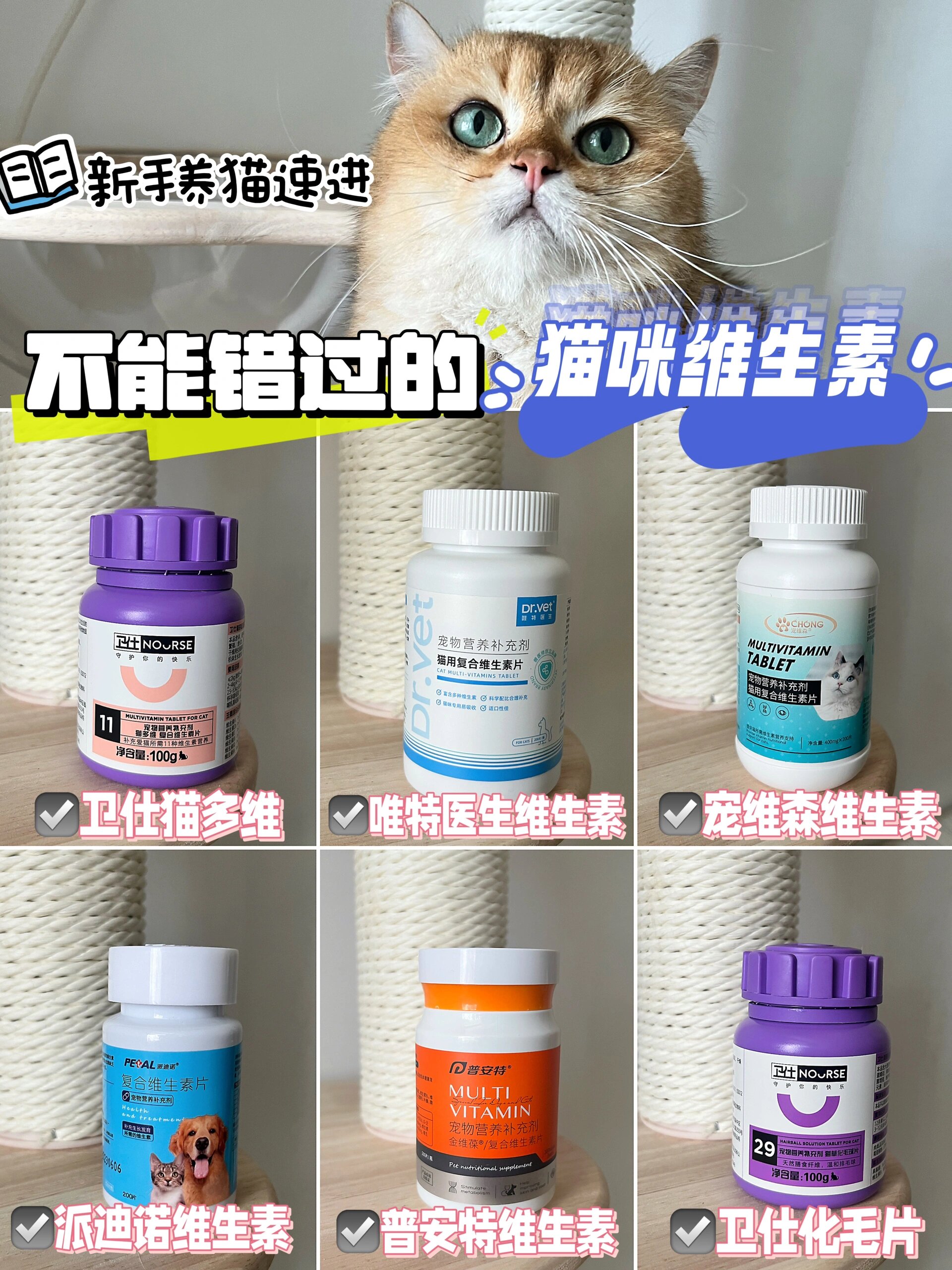 不能错过的猫咪维生素!