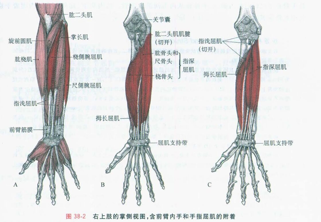 关注