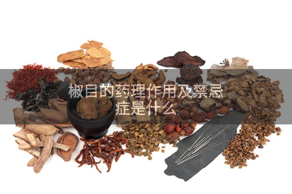 椒目的药理作用及禁忌症是什么