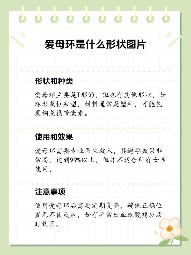 解密爱母环的形状与用途