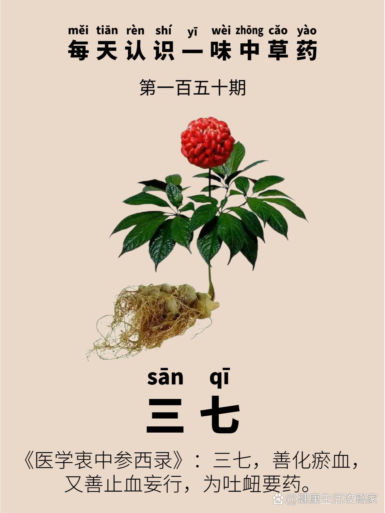 每天认识一味中草药