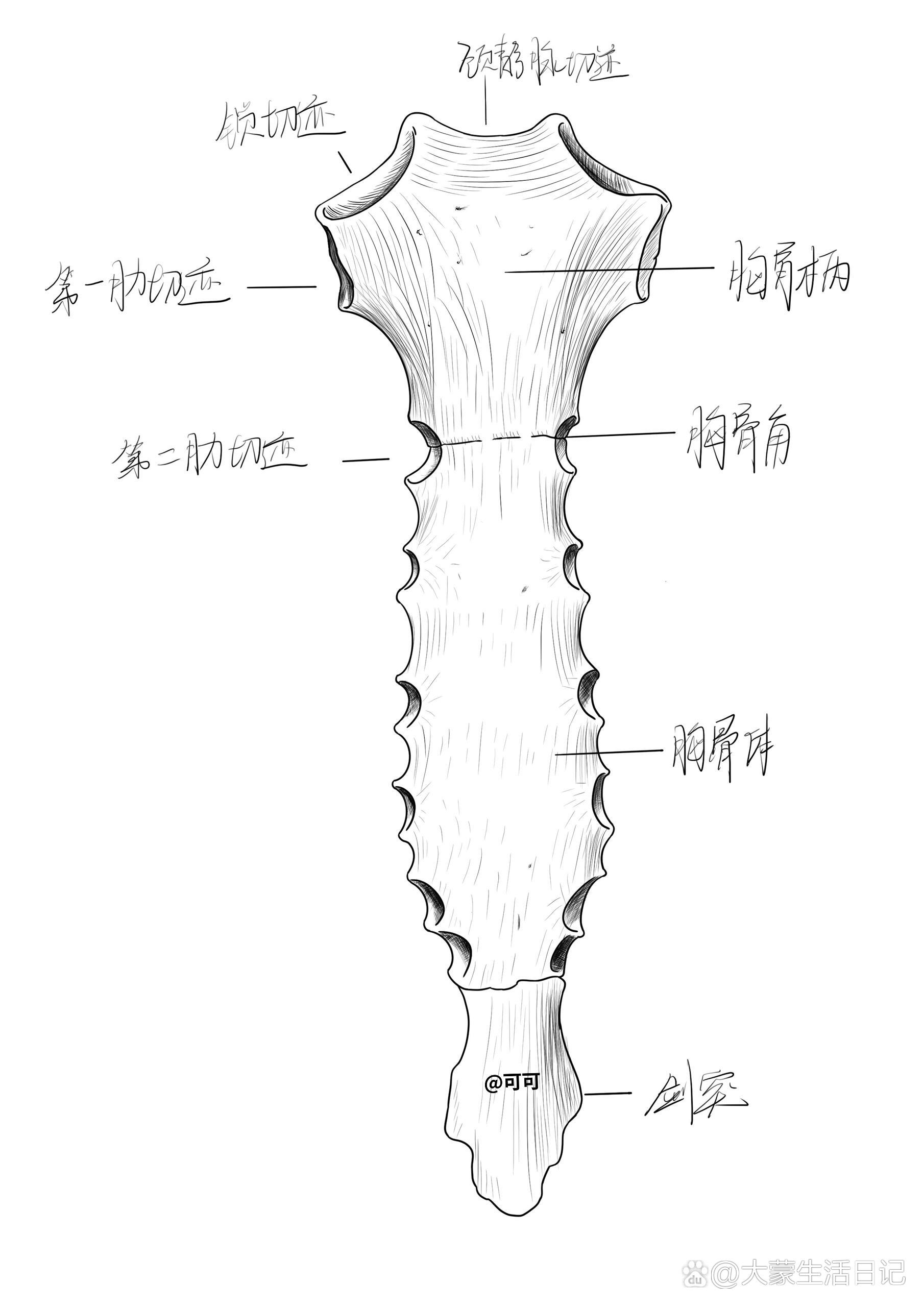 一起画画打卡吧