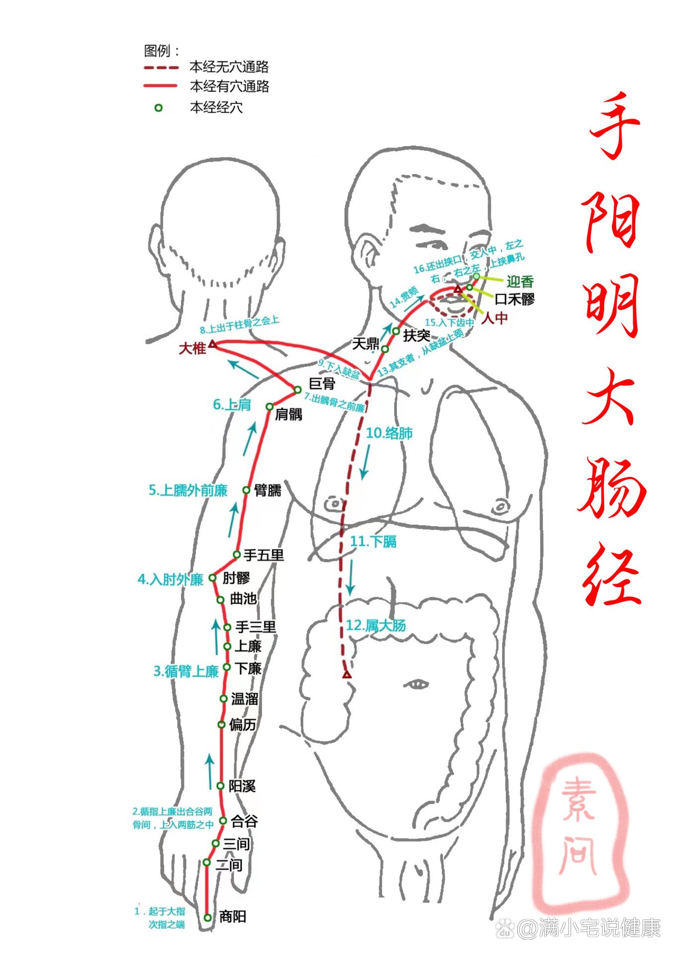 手臂六条经络走向图