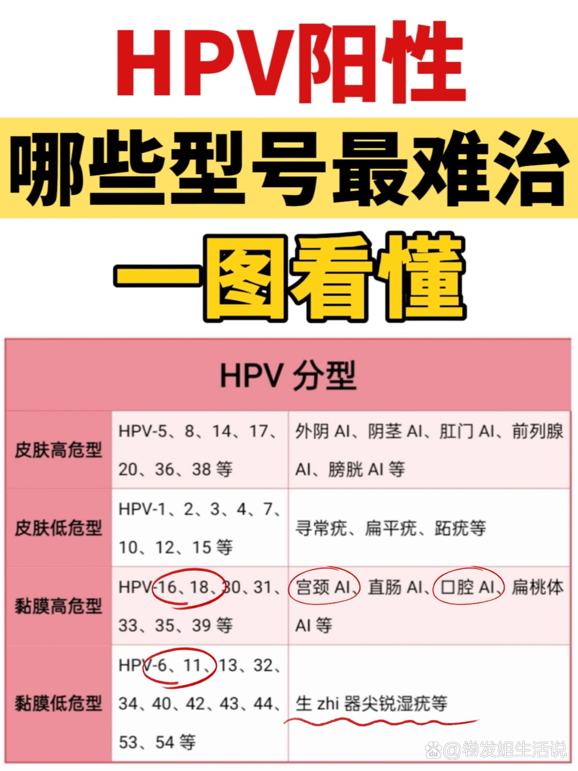 人乳头瘤病毒61型图片