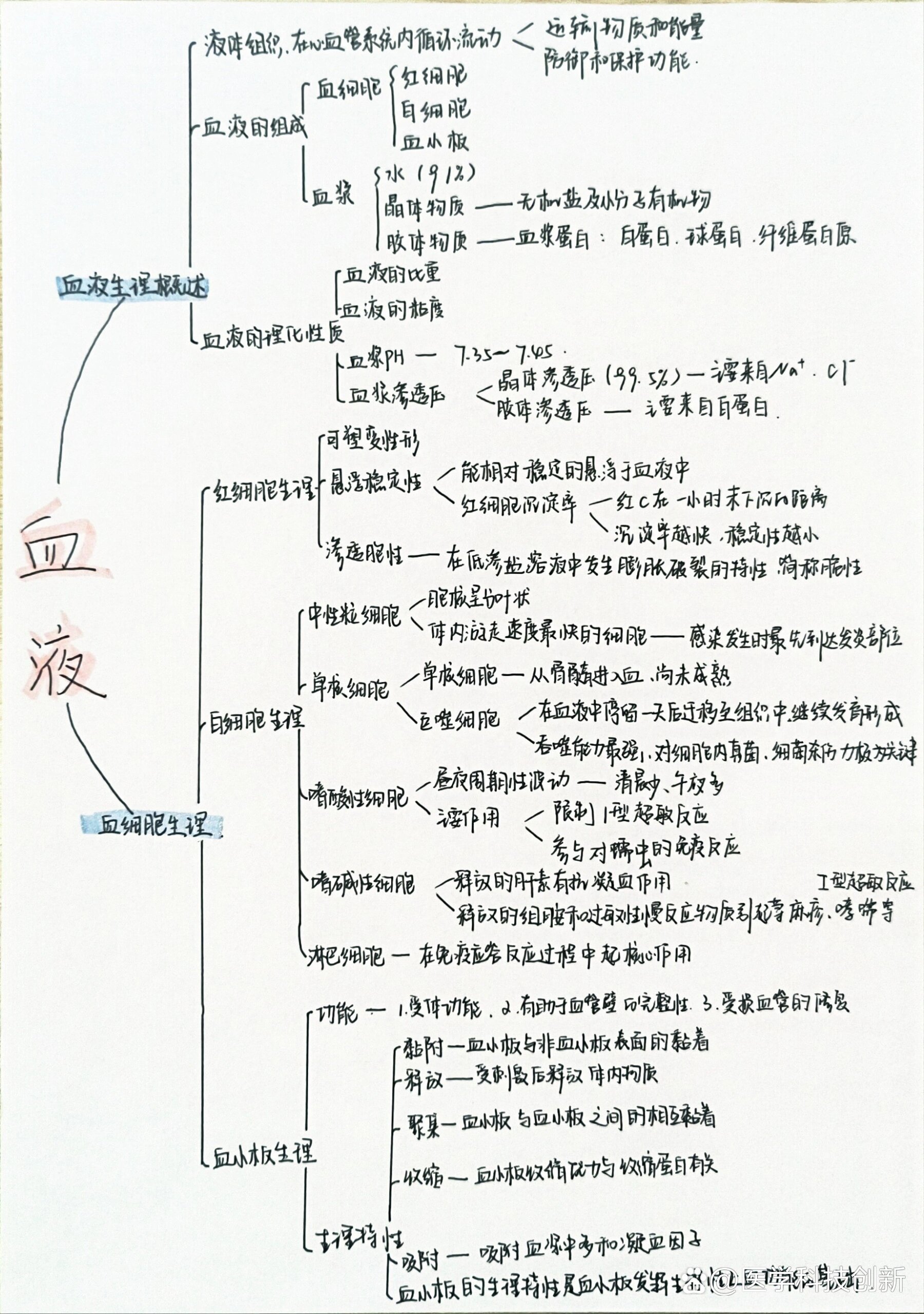 人体血液思维导图图片