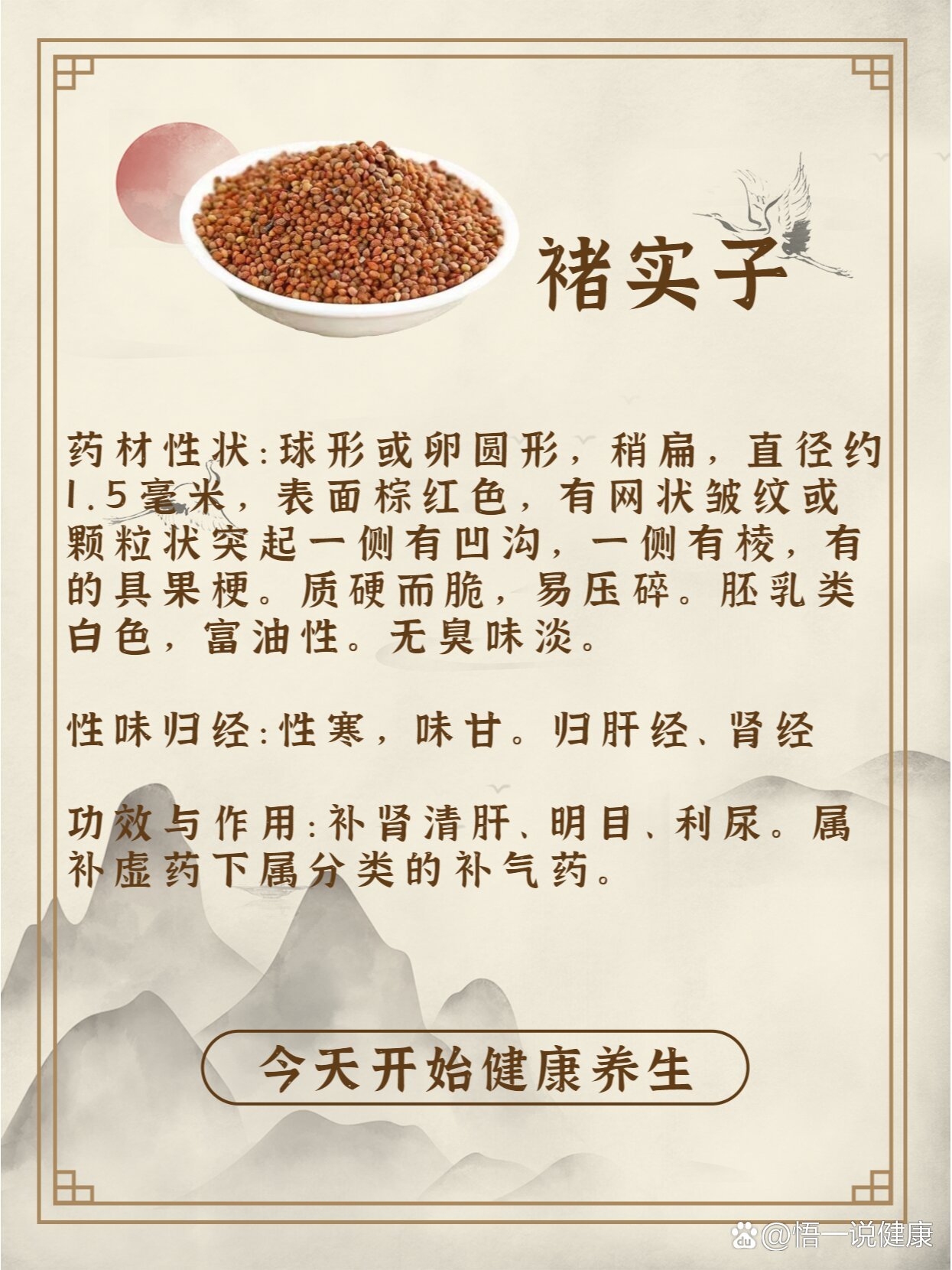 每天认识一味中草药-楮实子