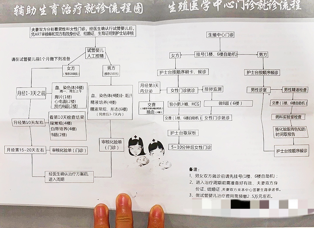 试管婴儿怎么确定男女