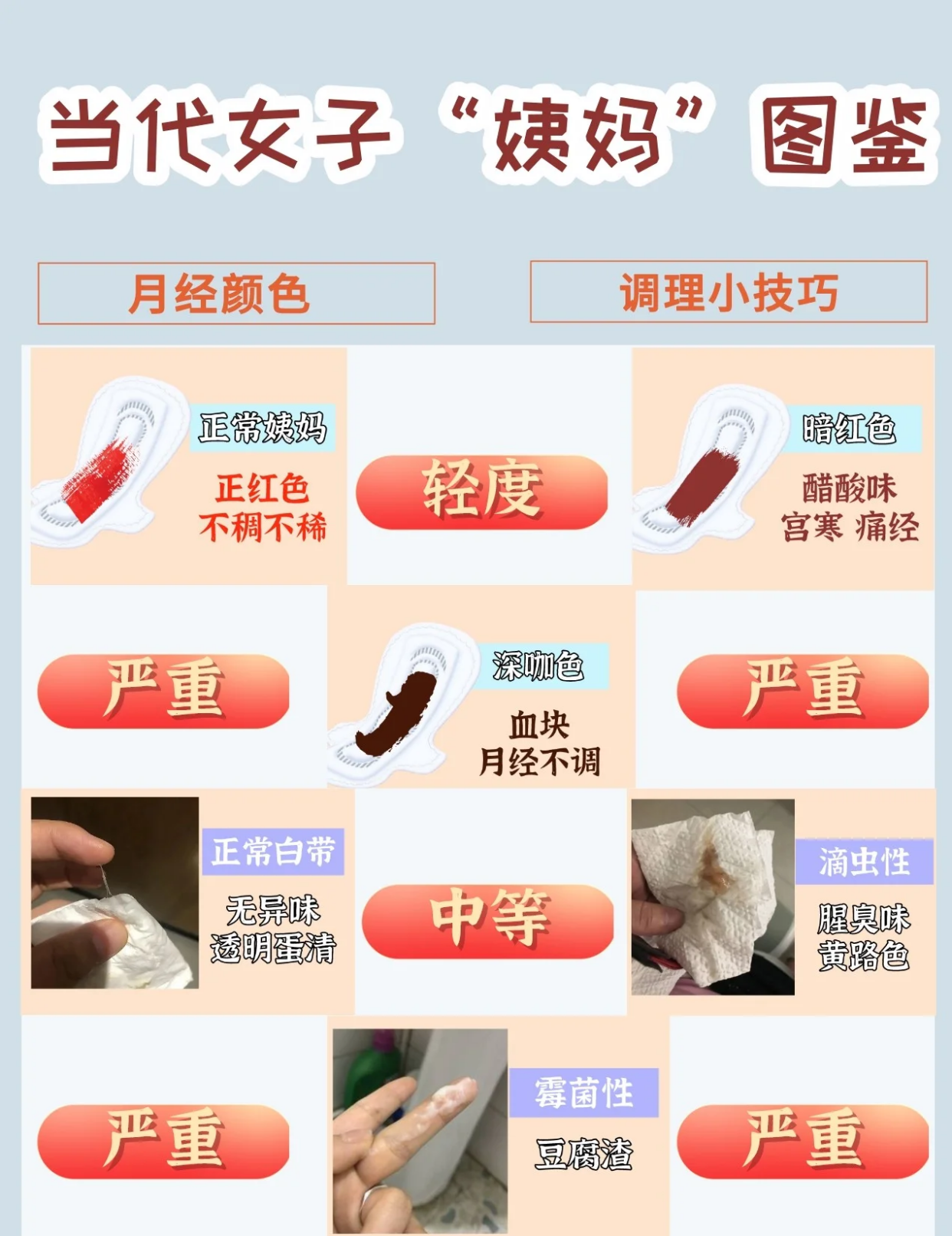 女生姨妈知识图鉴