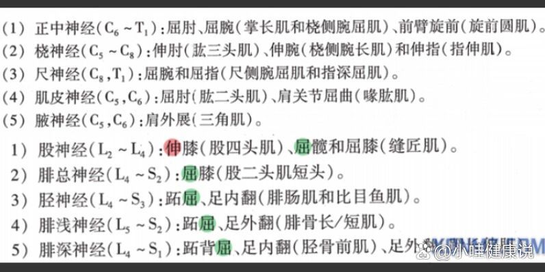 颈丛C1-4图片