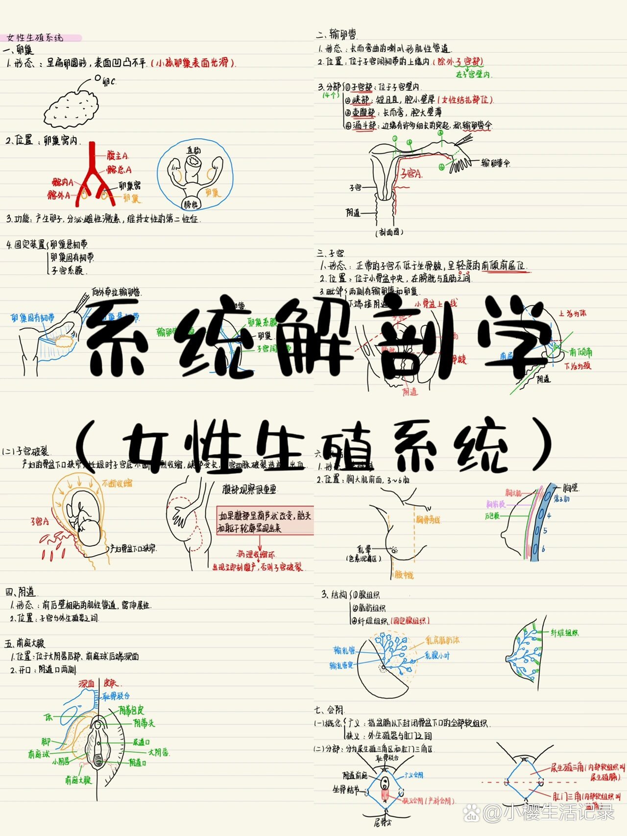 笔记分享