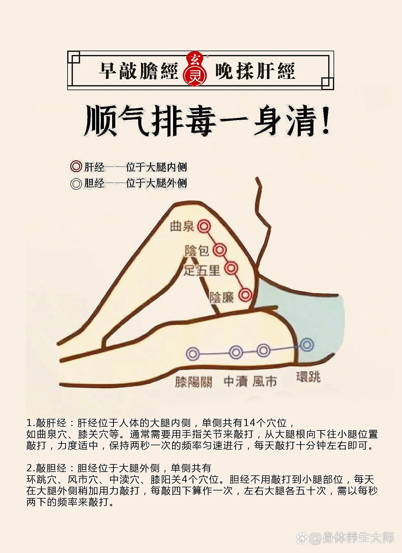 【花雨养生】🪒早敲胆经，晚推肝经🌳