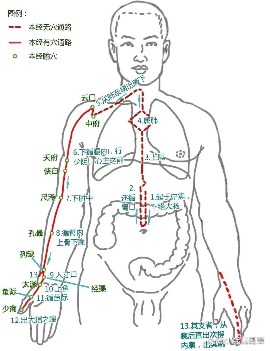 p 经脉循行