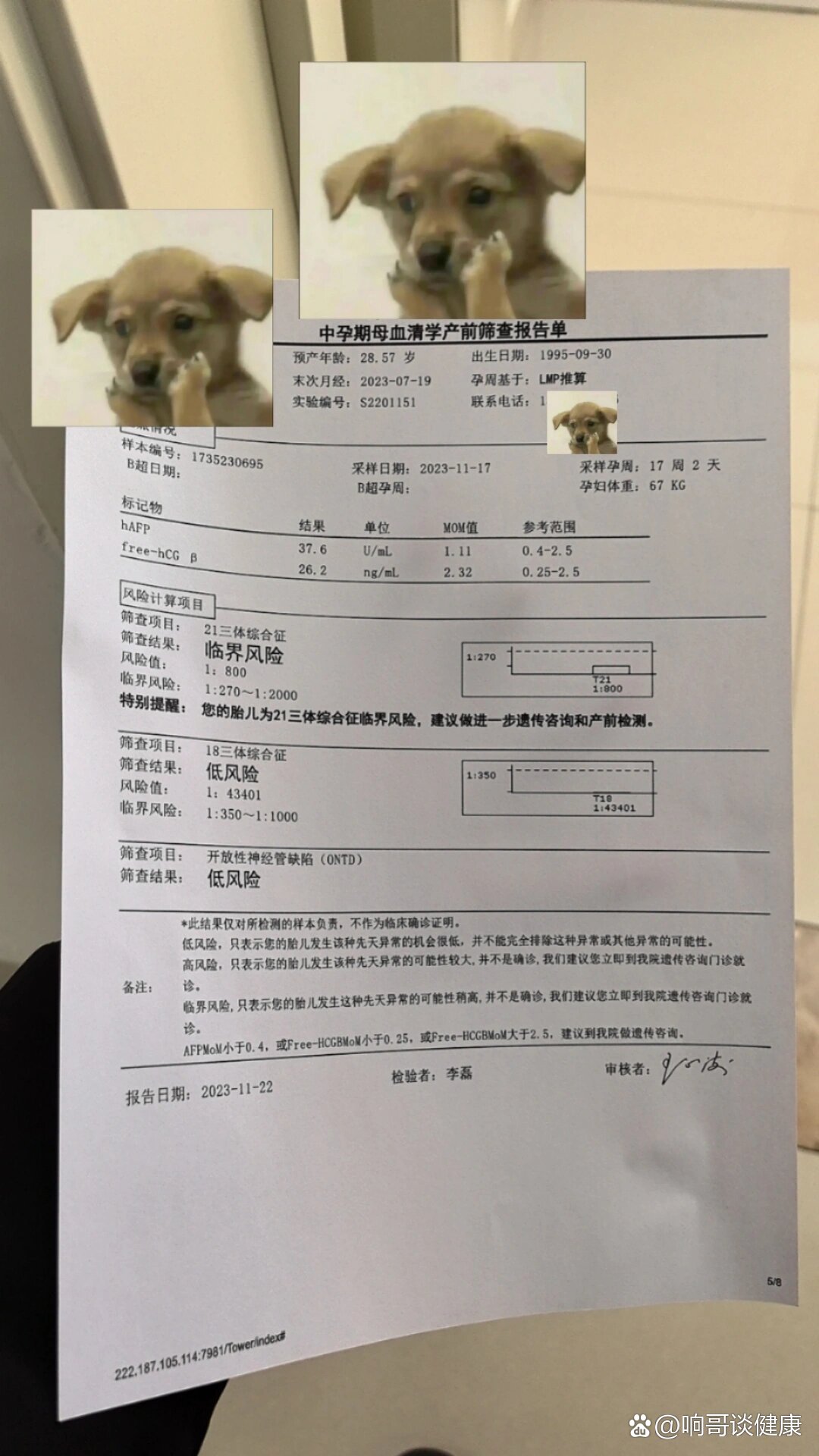 唐筛临界风险(21三体风险值1:800)