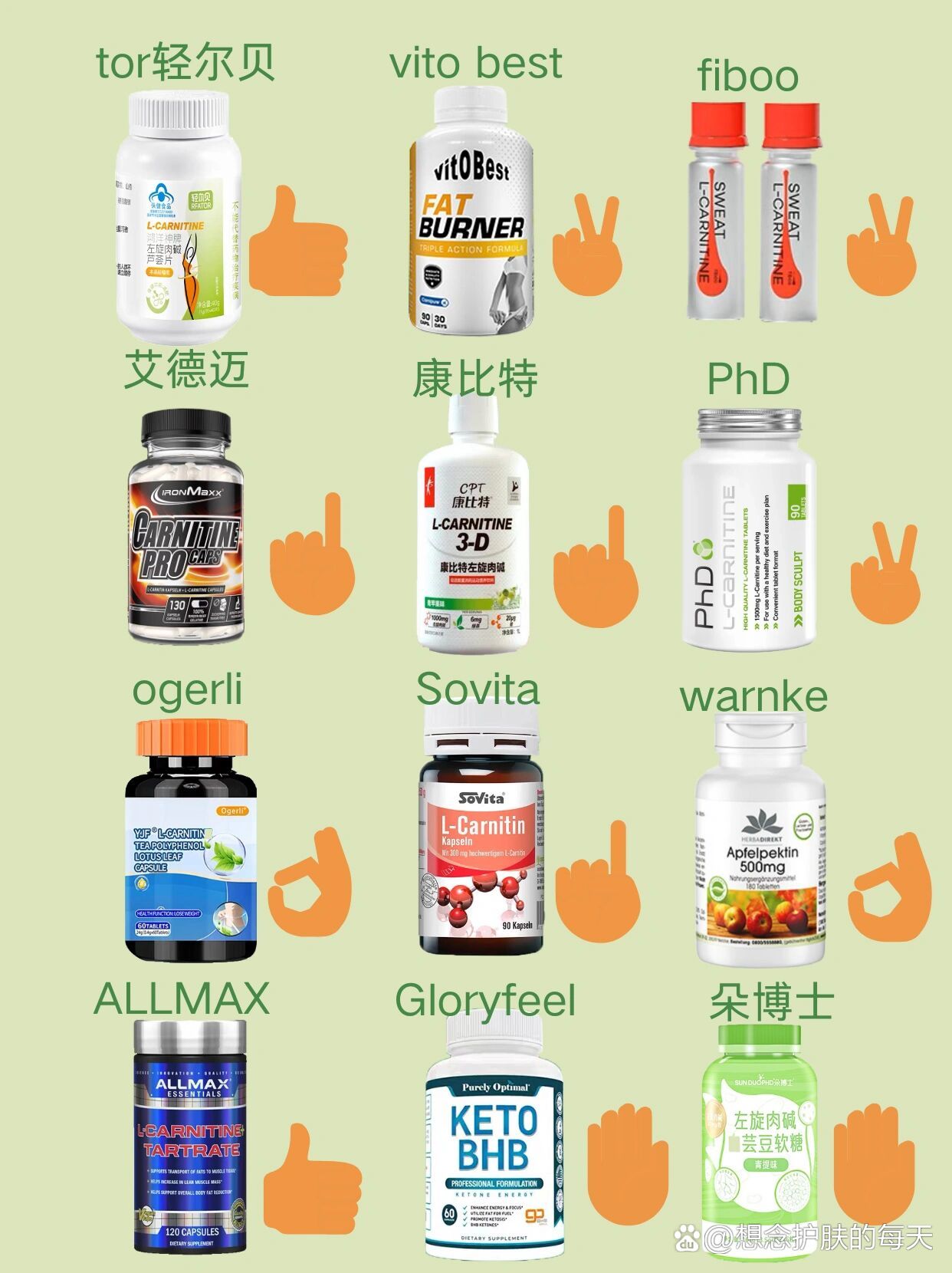 网红热门左旋肉碱推荐!