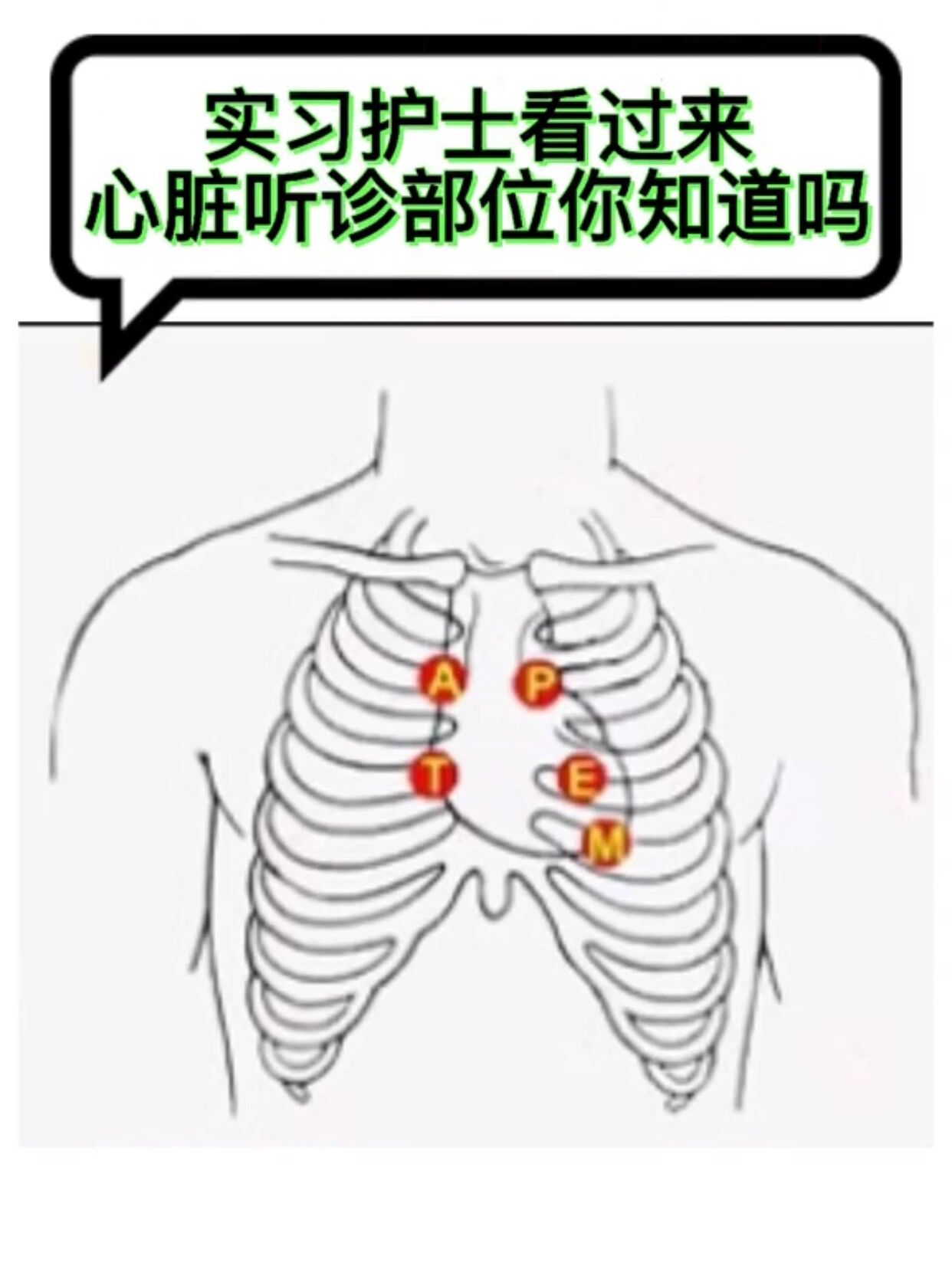 心脏瓣膜听诊区示意图图片