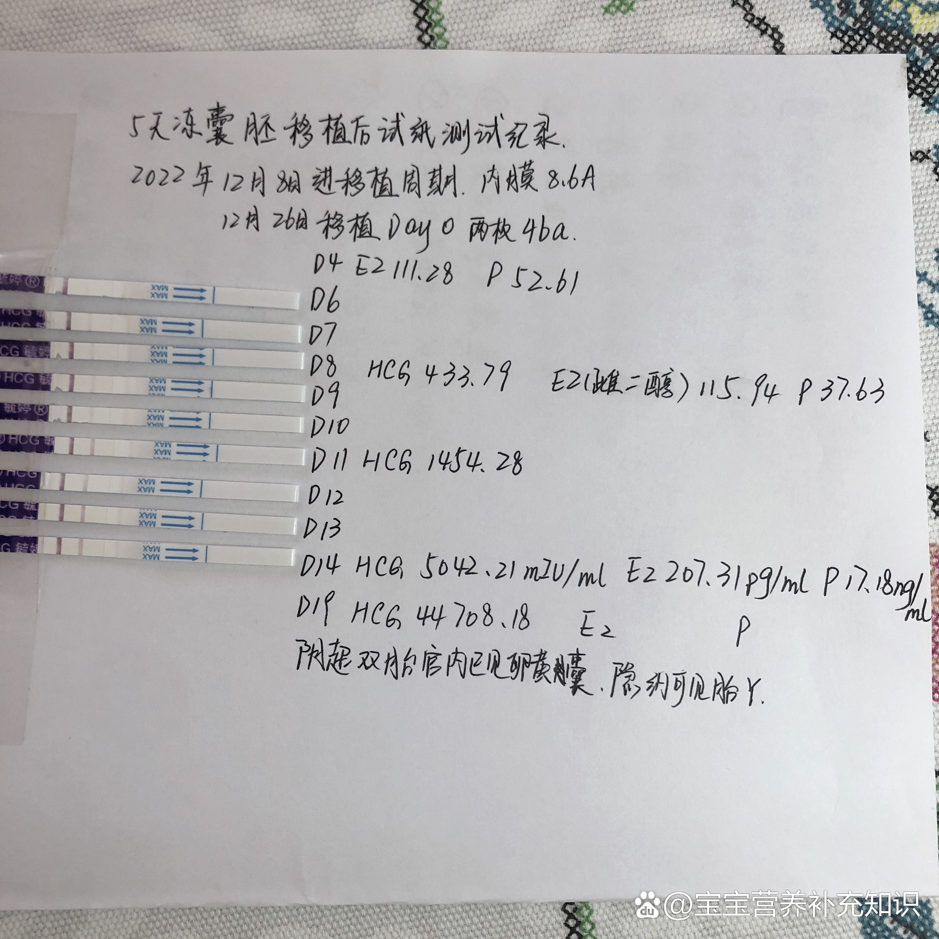 鲜胚移植14天hcg对照表